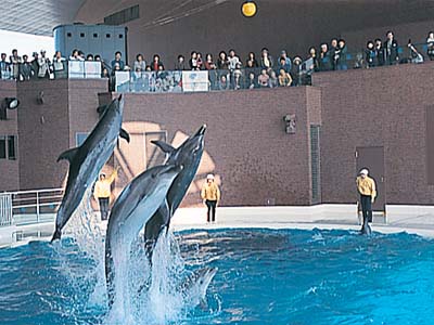 しものせき水族館　海響館